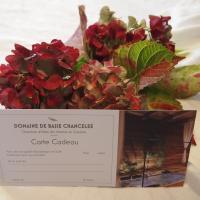 Carte cadeau Domaine de Basse Chancelee 2020